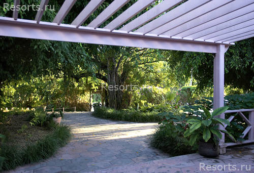 Pink Sands Resort 27